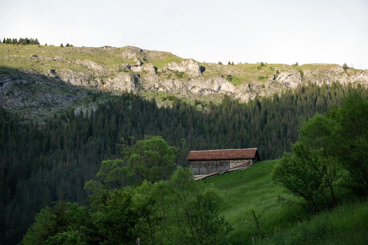 Къща До Гората Триград Villa Bagian luar foto