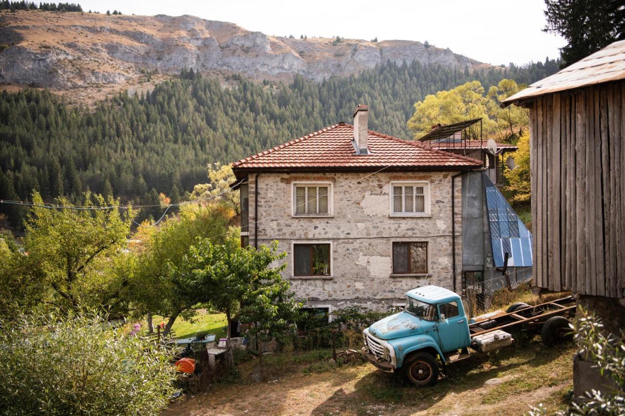 Къща До Гората Триград Villa Bagian luar foto