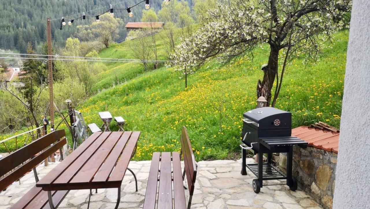 Къща До Гората Триград Villa Bagian luar foto