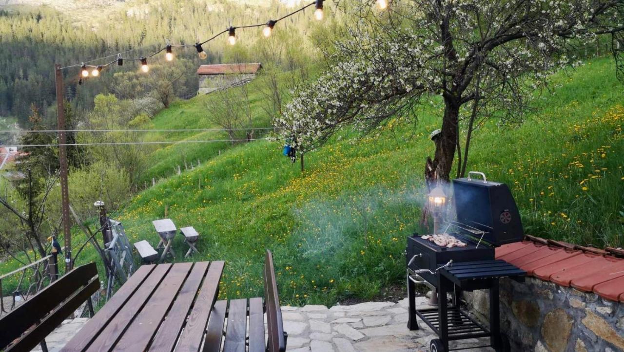 Къща До Гората Триград Villa Bagian luar foto